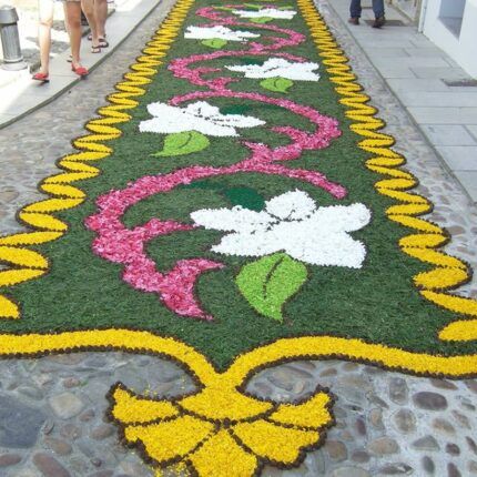 ALFOMBRA DE FLORES 6