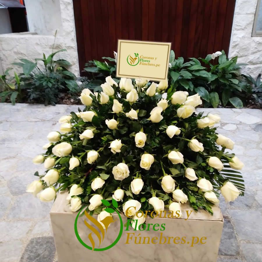 Lagrima-de-piso-de-Rosas-Blancas-2-2-1